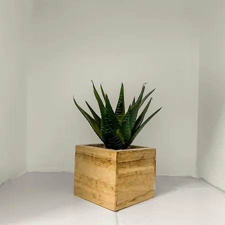 Le Studio Des Arts Apartment