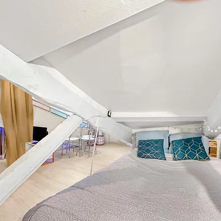 Le Studio Des Arts Apartment Albi